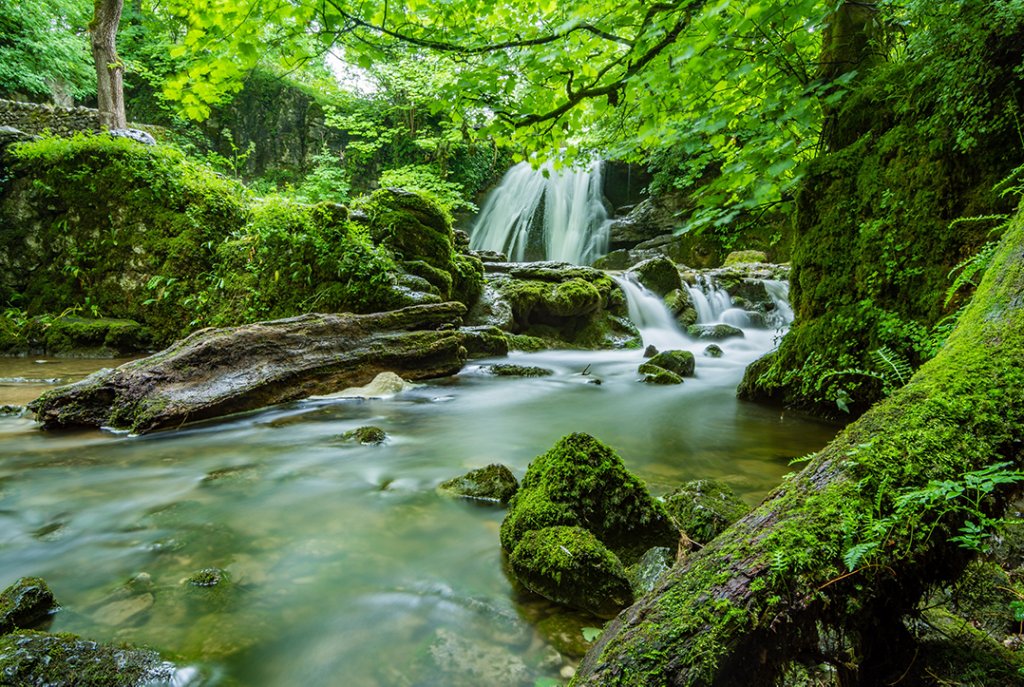 Elemente Feng-Shui in amenajarile interioare