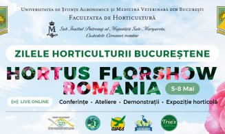 Hortus Flor Show